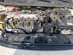 رينو فلوينس